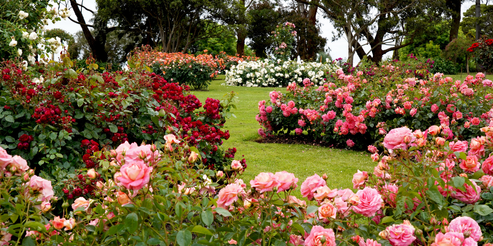 Metro Detroit Garden Tours 2025